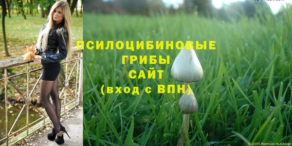 сатива Аркадак
