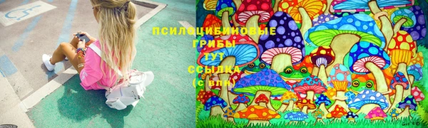 крисы Арсеньев