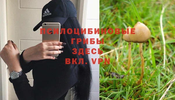 крисы Арсеньев