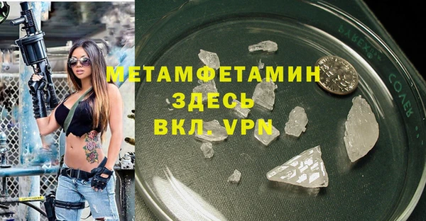 сатива Аркадак